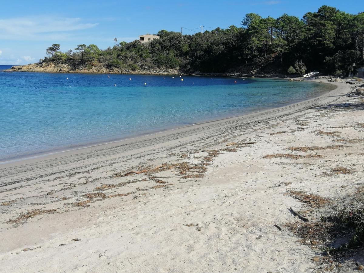 Favone Mini Villa Playa Del Oro Eksteriør billede